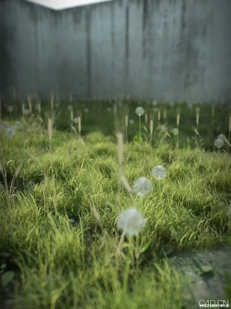 Cinema 4d真实地面植物工程文件Real Ground Plants C4D files - C4D之家 - Real-ground-plants(1).jpg
