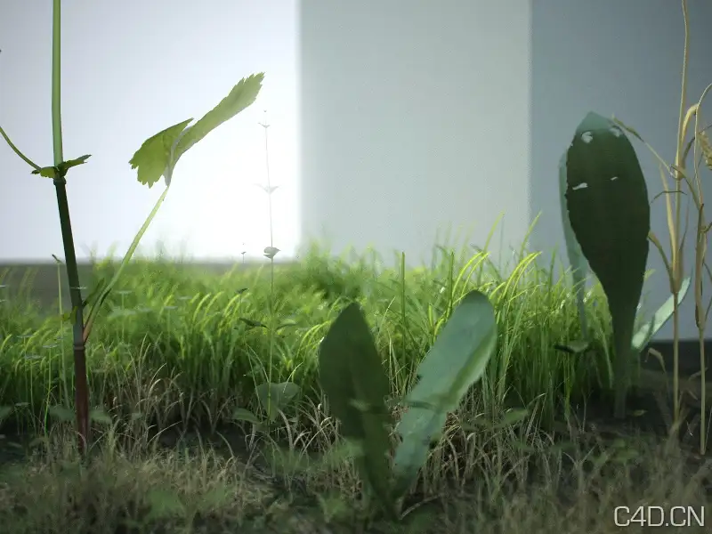 Cinema 4d真实地面植物工程文件Real Ground Plants C4D files - C4D之家 - Real-ground-plants(2).jpg
