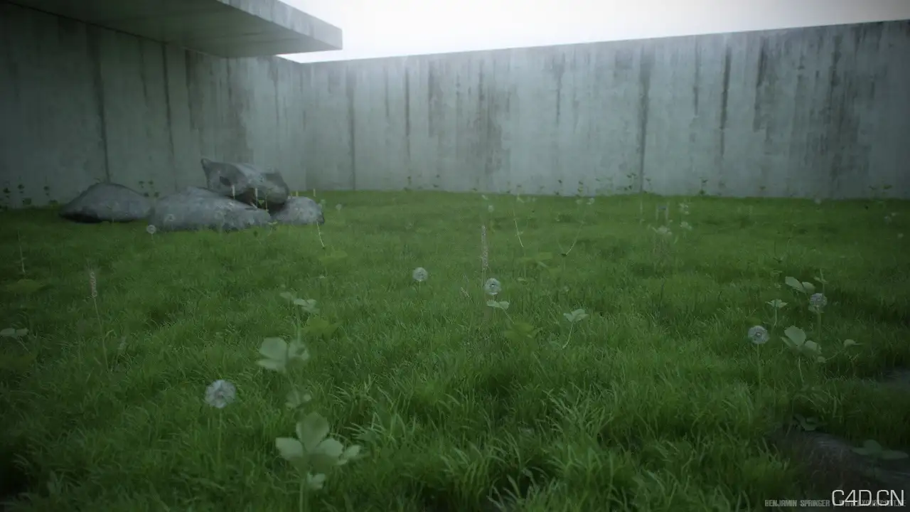 Cinema 4d真实地面植物工程文件Real Ground Plants C4D files - C4D之家 - Real-ground-plants(3).jpg