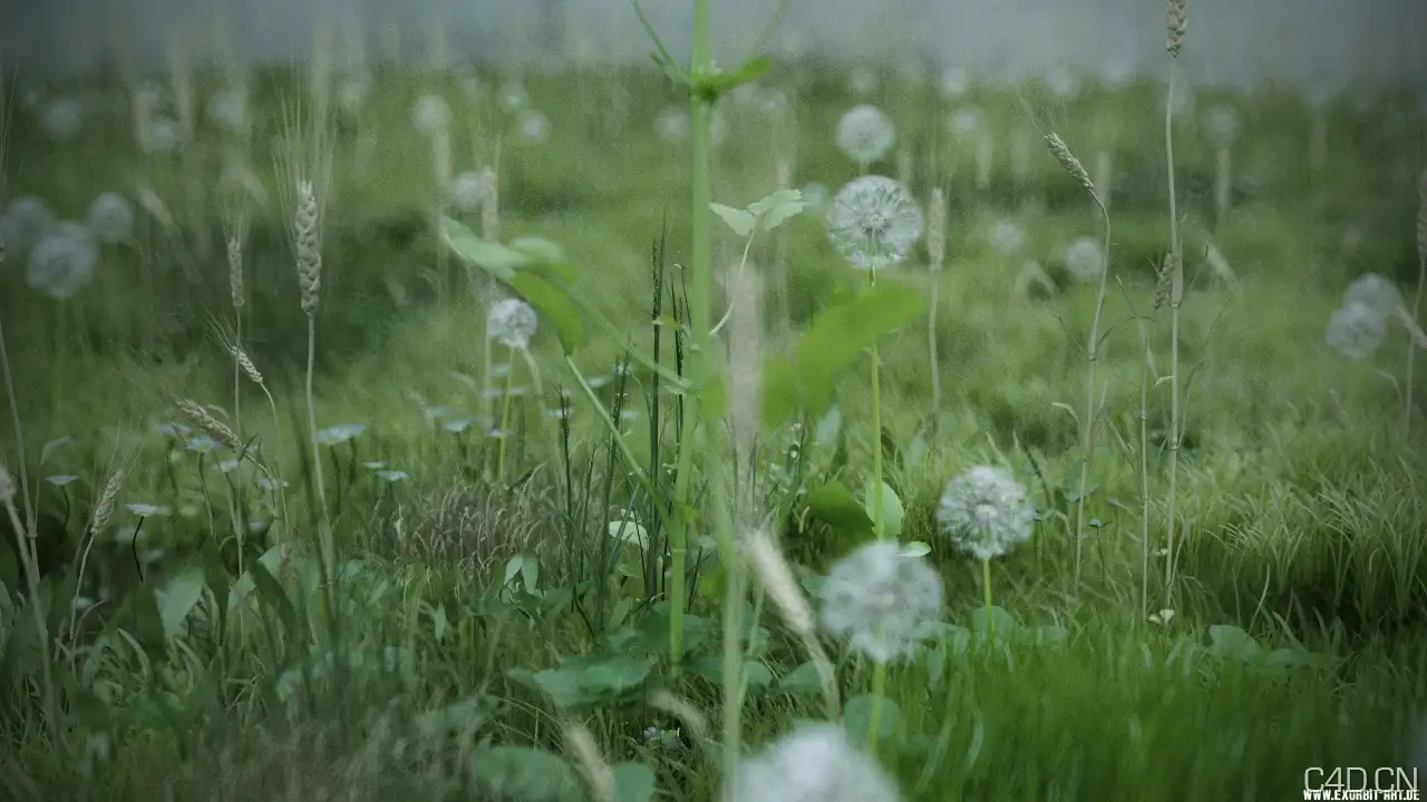 Cinema 4d真实地面植物工程文件Real Ground Plants C4D files - C4D之家 - Real-ground-plants(5).jpg
