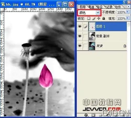 PhotoShop制作水墨荷花