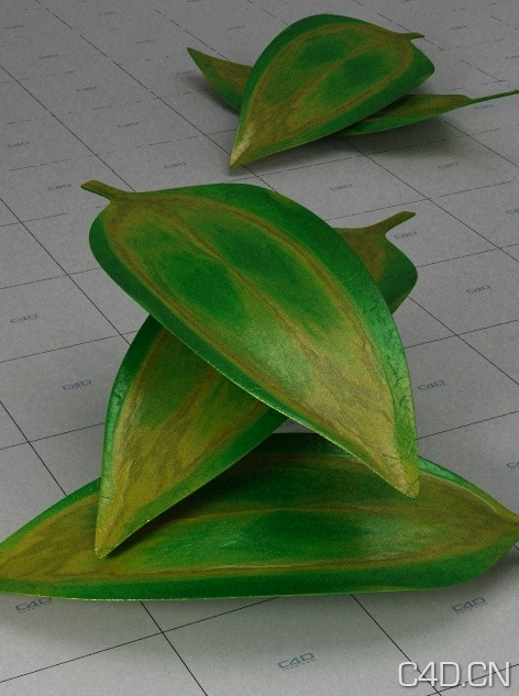 C4D VRAY材质：Foglie - C4D之家 - Snip20130726_39.png