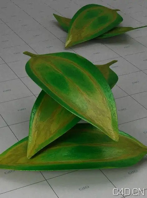 C4D VRAY材质：Foglie - C4D之家 - Snip20130726_39.png