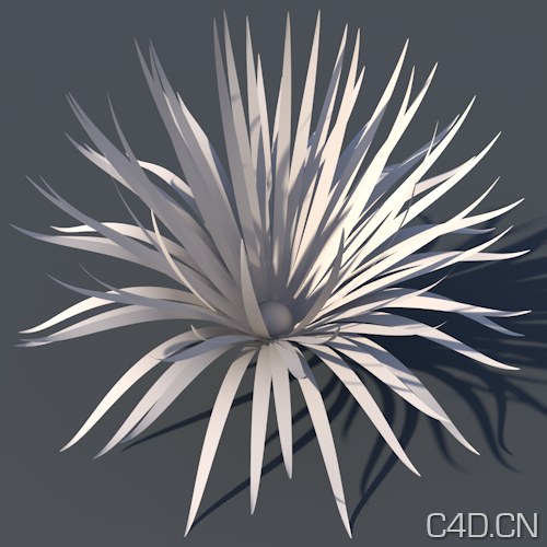 C4D花朵模型：Basic Objects for c4d (r13) 008 - C4D之家 - 8.png