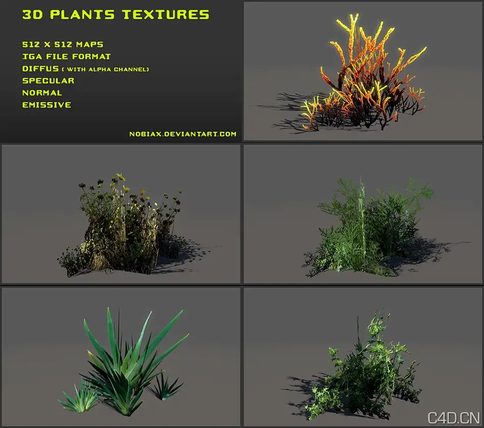 植物材质三维贴图：Free 3D plants textures 01 - C4D之家 - free_3d_plants_textures_01_by_nobiax-d49mxpj.jpg