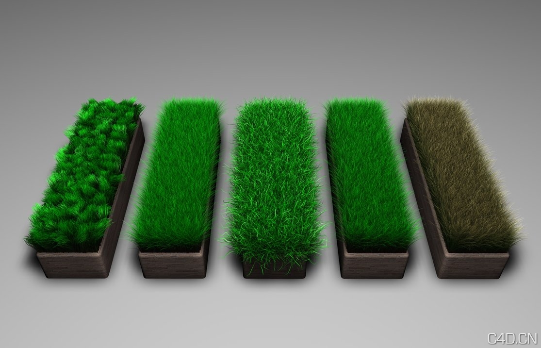 C4D绿草材质球 Gress Grass - C4D之家 - Gress_Grass_by_Neon_Monkey.jpg