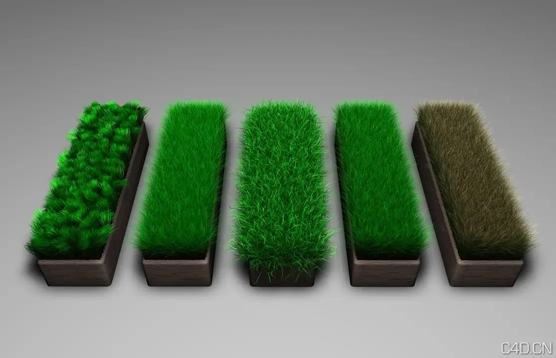 C4D绿草材质球 Gress Grass - C4D之家 - Gress_Grass_by_Neon_Monkey.jpg