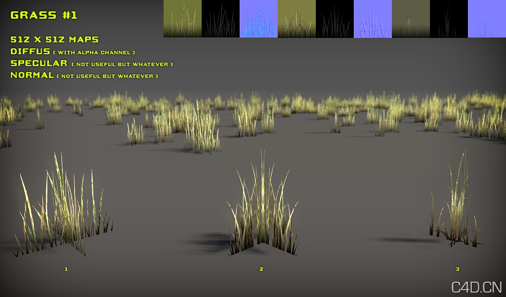 黄草3D模型：Free Grass Pack - C4D之家 - free_grass_pack_by_nobiax-d2ylpf9.jpg