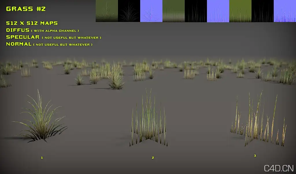 黄草3D模型2：Free Grass Pack 2 - C4D之家 - free_grass_pack_2_by_nobiax-d2ynsct.jpg