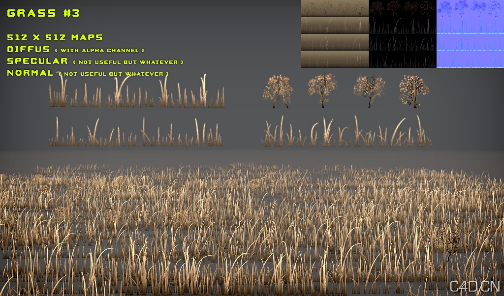 黄草3D模型：Free Grass Pack 3 - C4D之家 - free_grass_pack_3_by_nobiax-d2z9fnx.jpg