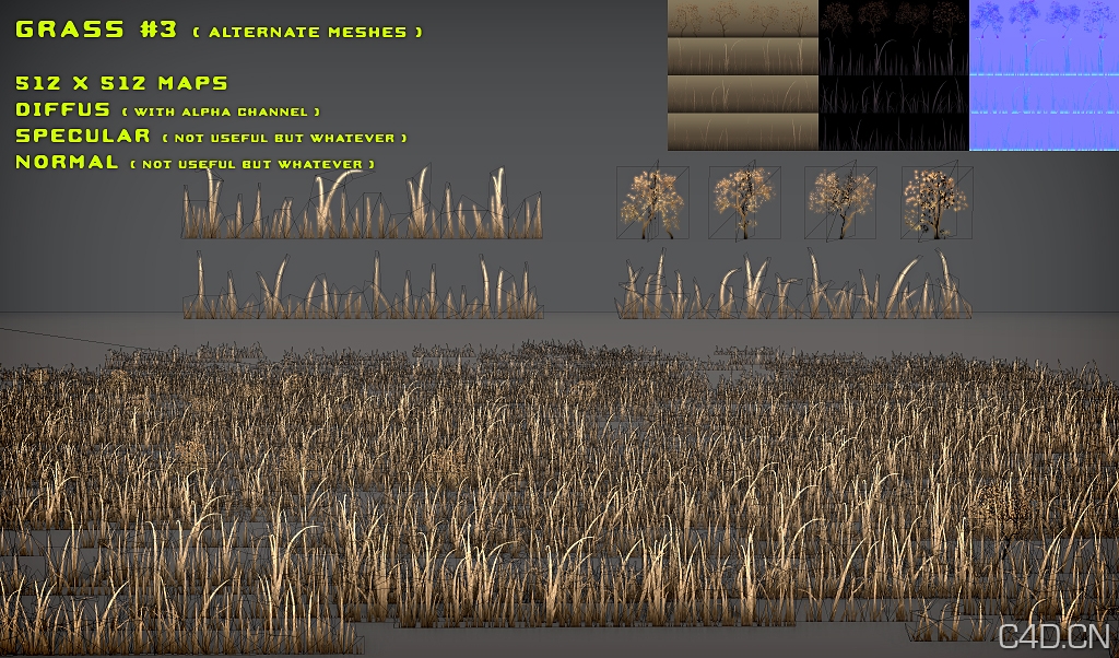 黄草3D模型：Free Grass Pack 3 Alt. Meshes - C4D之家 - free_grass_pack_3_alt__meshes_by_nobiax-d2zbdxo.jpg