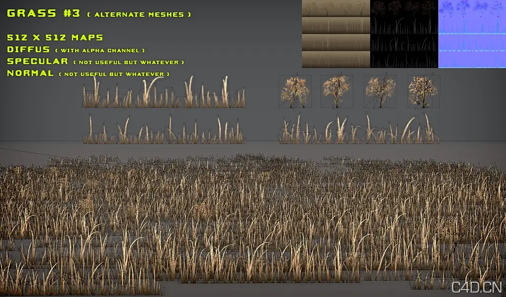 黄草3D模型：Free Grass Pack 3 Alt. Meshes - C4D之家 - free_grass_pack_3_alt__meshes_by_nobiax-d2zbdxo.jpg