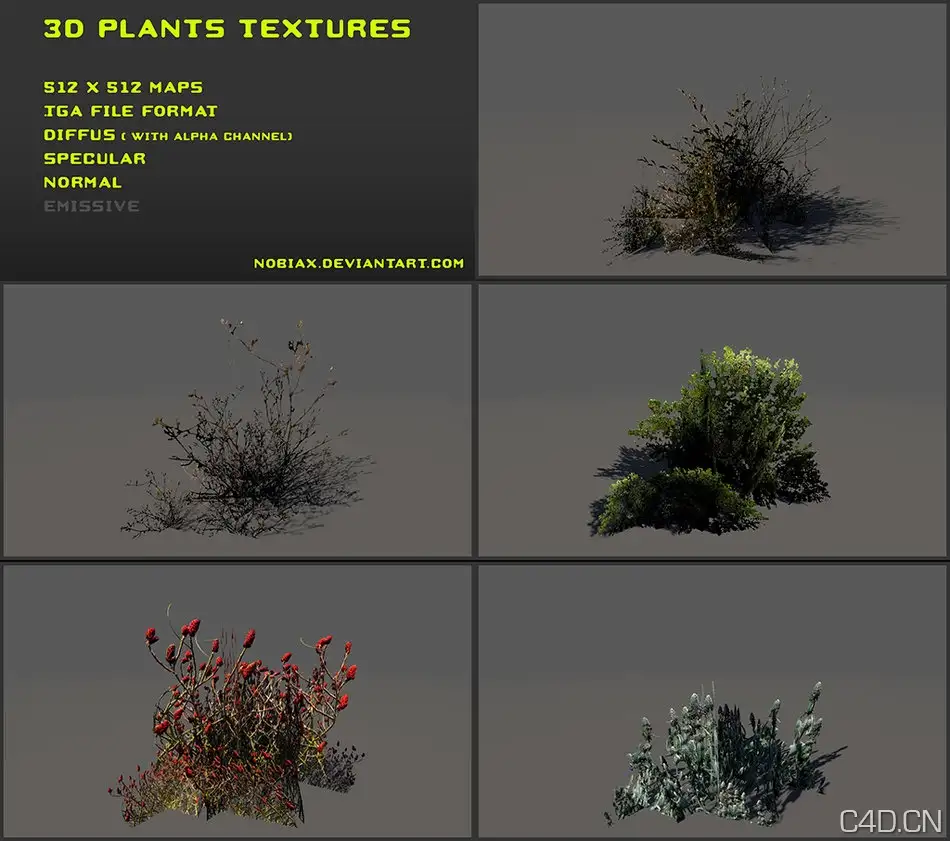 植物贴图材质：Free 3D plants textures 02 - C4D之家 - free_3d_plants_textures_02_by_nobiax-d4aem4h.jpg