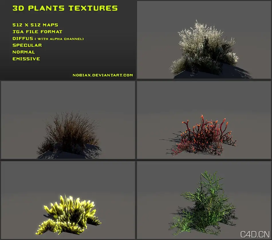 植物三维贴图：Free 3D plants textures 03 - C4D之家 - free_3d_plants_textures_03_by_nobiax-d4bcrq4.jpg