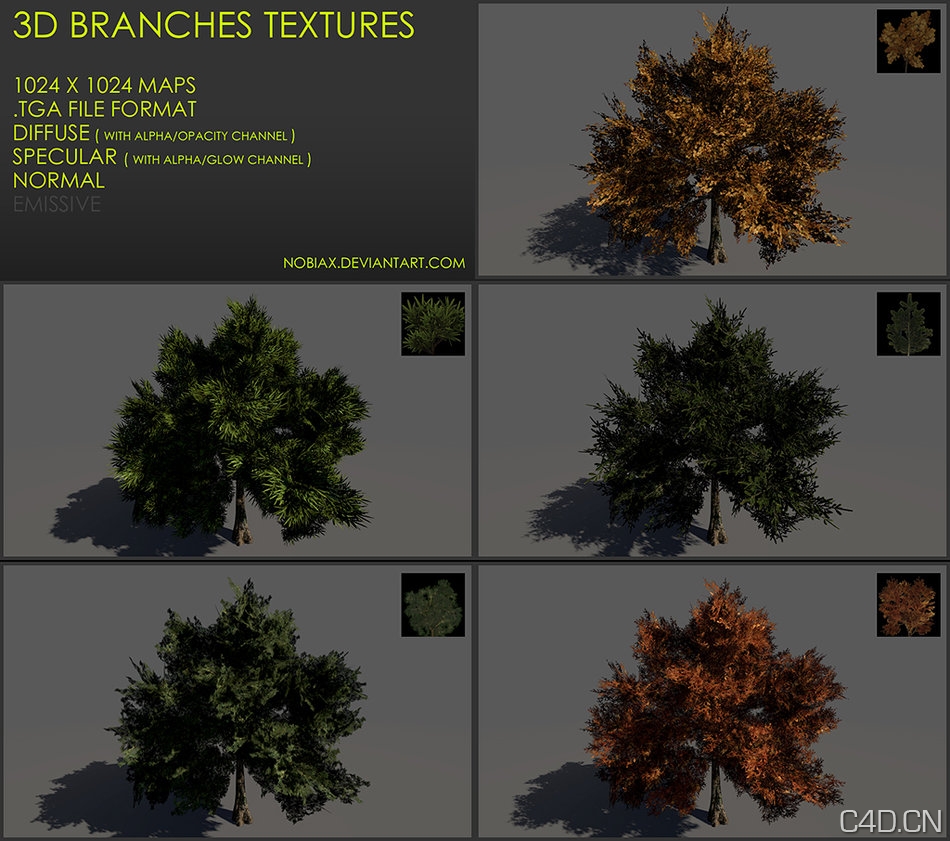 树木三维贴图:Free 3D branches textures 02