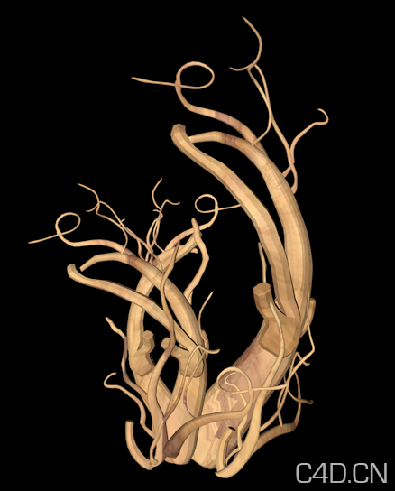 人参3D模型 Ginseng - C4D之家 - Snip20130731_1.png