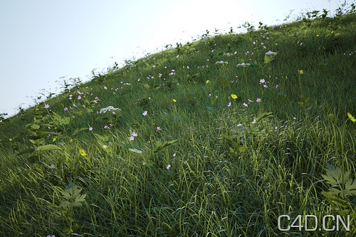 C4D for vray草地植物模型：vray proxy grass scene - C4D之家 - 3187758924.jpeg