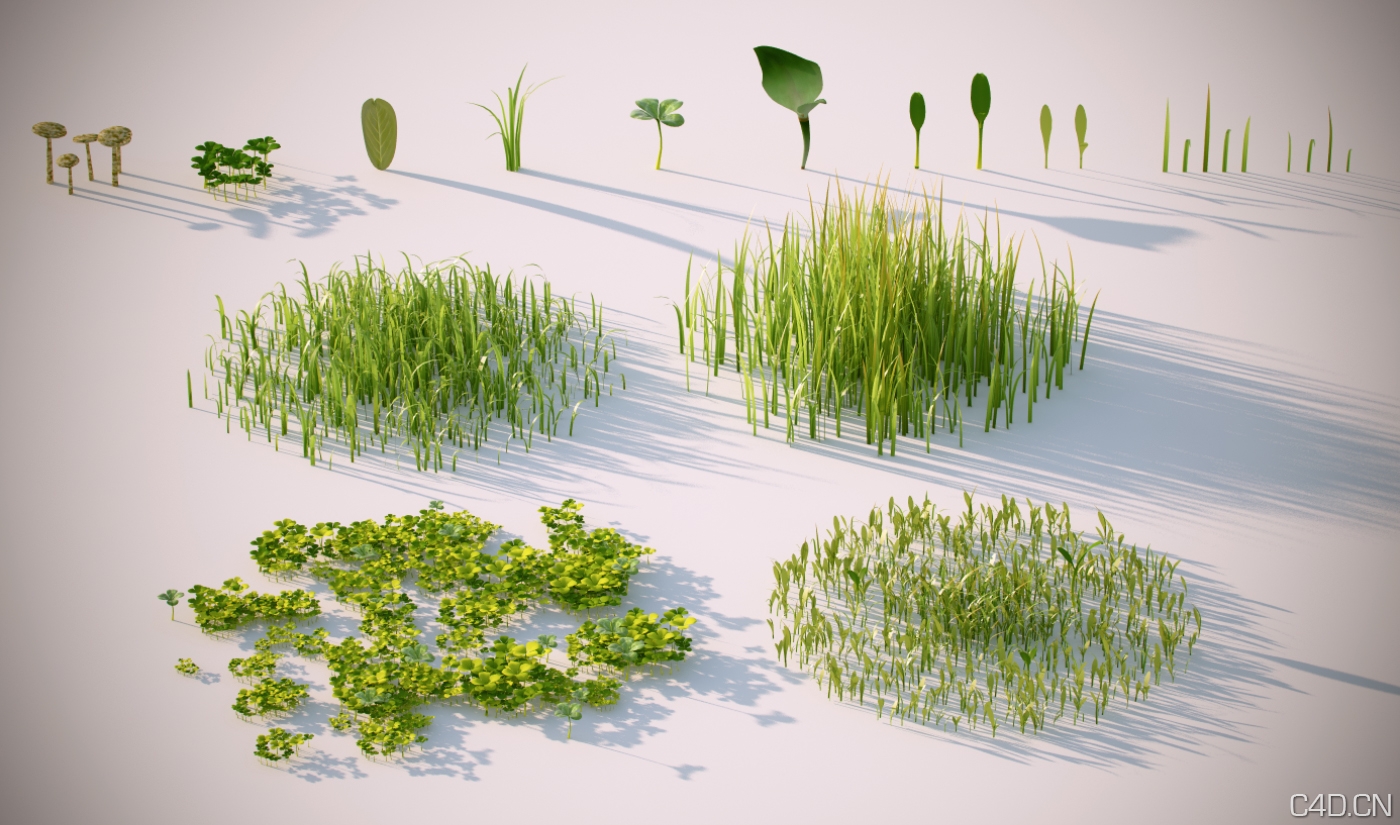 C4D for vray草地植物模型：vray proxy grass scene - C4D之家 - pattrens.jpg