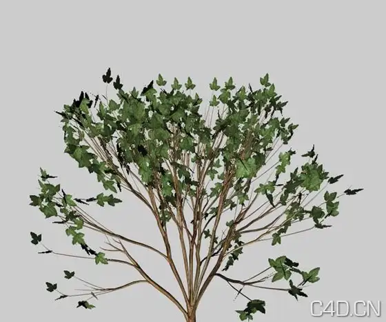 C4D树枝模型：Cinema 4D Bush 3D Model - C4D之家 - free-bush-cinema-4d-3d-model.jpeg