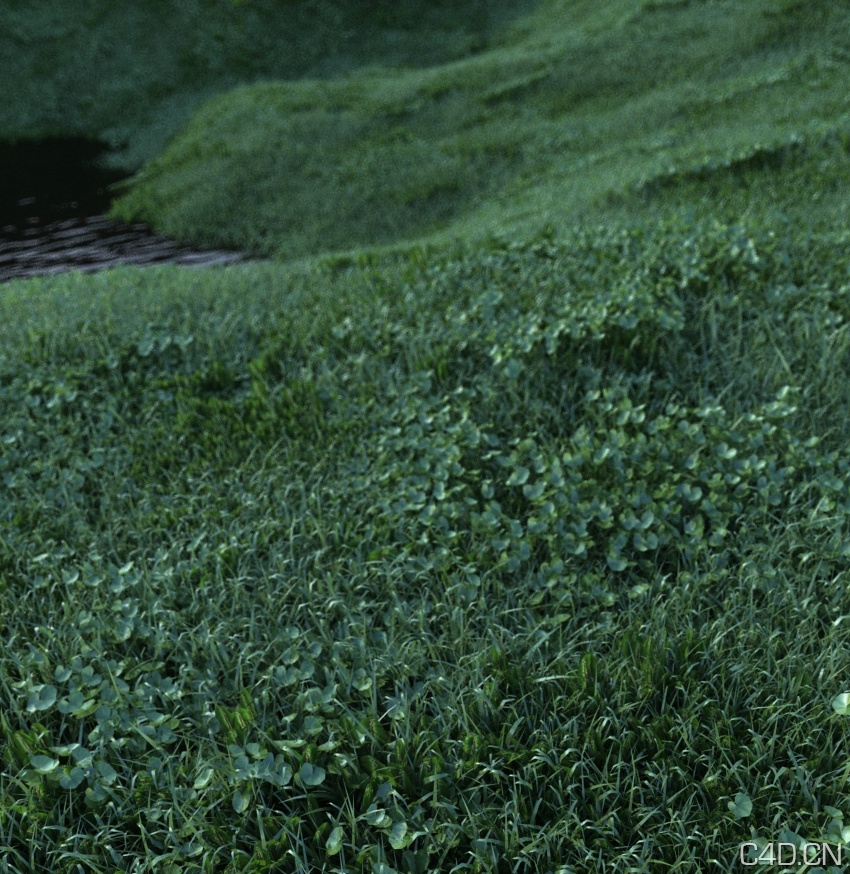 草丛C4D场景模型：The Jungle - C4D之家 - Cinema-4d-Grass.jpeg