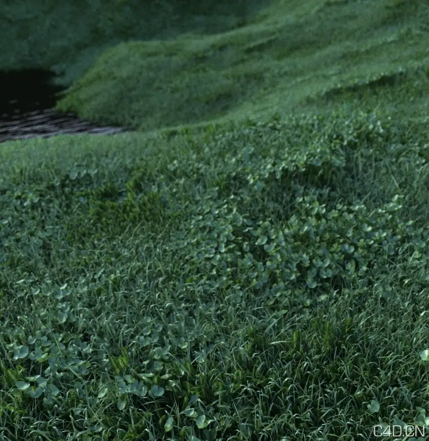草丛C4D场景模型：The Jungle - C4D之家 - Cinema-4d-Grass.jpeg