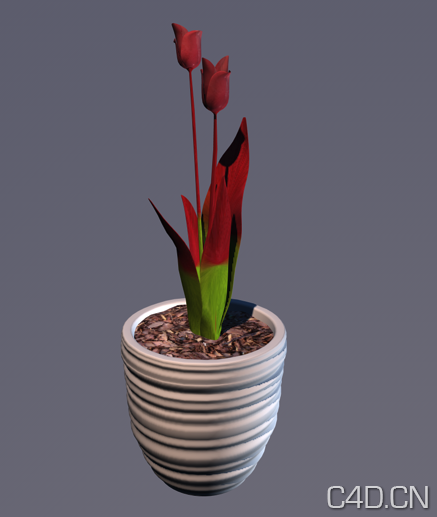 郁金香3D模型：Tulip - C4D之家 - Snip20130809_10.png