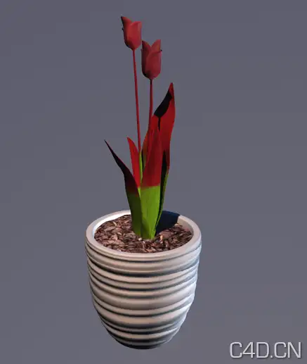 郁金香3D模型：Tulip - C4D之家 - Snip20130809_10.png