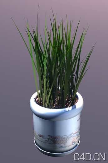 C4D绿草盆栽植物模型0025 - C4D之家 - Snip20130809_12.png