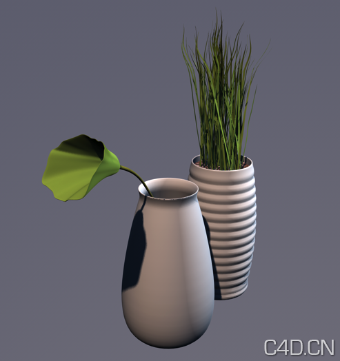 C4D装饰花卉模型 - C4D之家 - Snip20130810_15.png