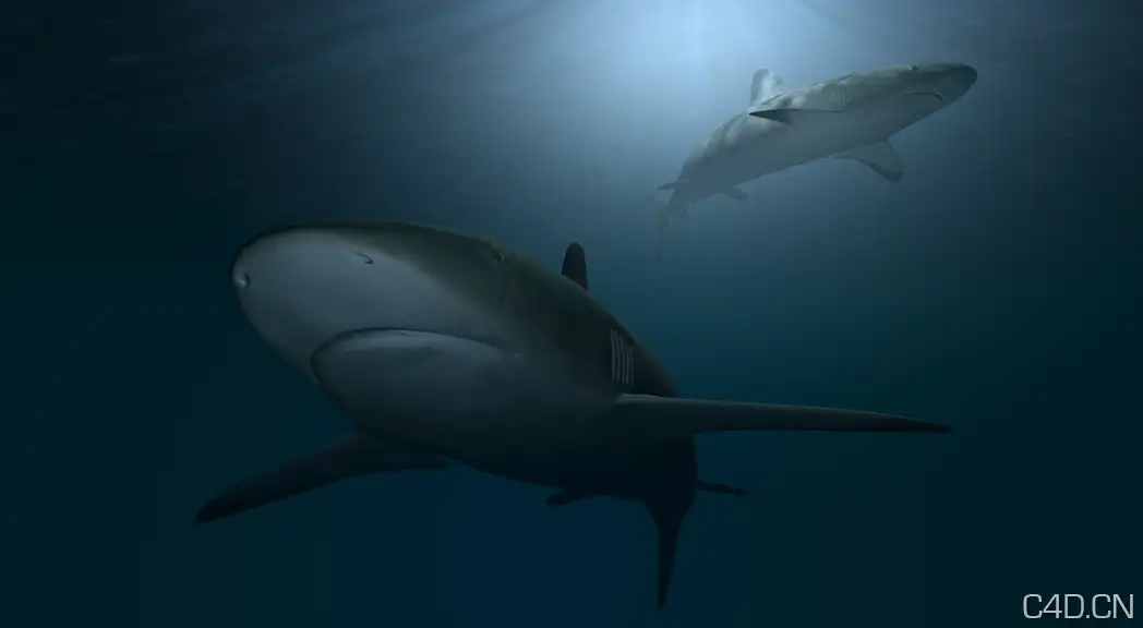 海底鲸鱼3D模型：Underwater whale - C4D之家 - Snip20130810_19.png