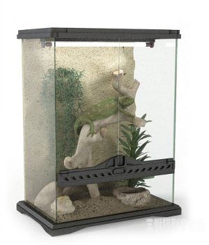蜥蜴3D模型 Lizard 3D models