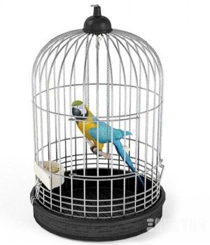 鹦鹉3D模型、鸟笼3D模型 Parrot and Cage 3D models