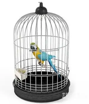 鹦鹉3D模型、鸟笼3D模型 Parrot and Cage 3D models