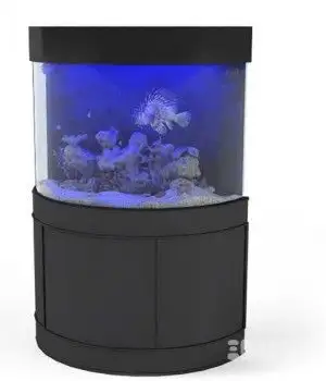 观赏鱼3D模型 鱼缸3D模型
