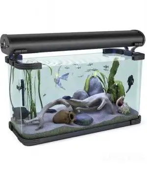 观赏鱼3D模型 鱼缸3D模型