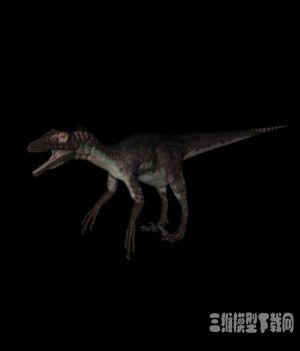 恐龙模型：尤他龙3D模型 Utahraptor - C4D之家 - 20121010092951837.jpg