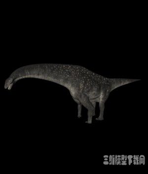 恐龙3D模型：泰坦巨龙(Titanosaurus) - C4D之家 - 20121010091940277.jpg