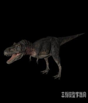 恐龙3D模型：特暴龙（Tarbosaurus） - C4D之家 - 20121010091635412.jpg