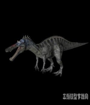 恐龙3D模型：似鳄龙(Suchomimus) - C4D之家 - 20121010091336238.jpg