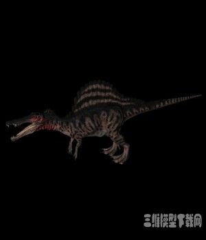 恐龙3D模型：棘背龙（Spinosaurus） - C4D之家 - 20121010064920679.jpg