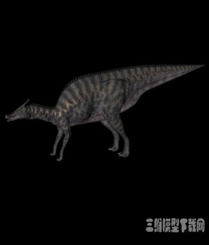 恐龙3D模型：蜥冠鳄龙(Saurolophus) - C4D之家 - 20121010064343827.jpg