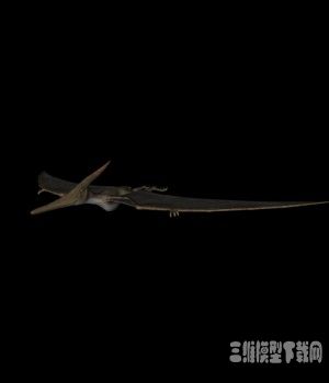 恐龙3D模型：无齿翼龙(pteranodon) - C4D之家 - 20121010064123895.jpg