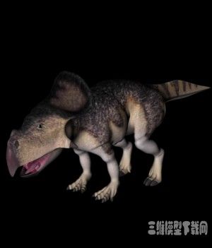 恐龙3D模型：原角龙（Protoceratops） - C4D之家 - 20121010061528606.jpg