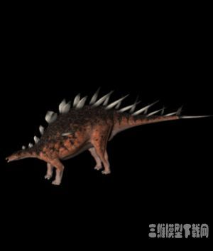 恐龙3D模型：钉状龙(Kentrosaurus) - C4D之家 - 20121009094746502.jpg