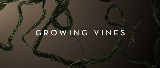 灰猩猩Cinema 4D榺蔓模型：Freebie: Growing Vines in Cinema 4D