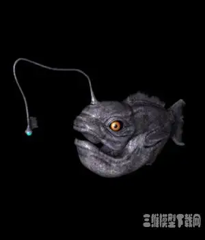 远古鱼三维模型 3D models of ancient fish