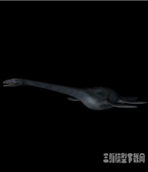 恐龙3D模型：薄片龙(Elasmosaurus) - C4D之家 - 20121009092212202.jpg