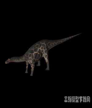 恐龙3D模型：叉龙(Dicraeosaurus） - C4D之家 - 20121009120117938.jpg