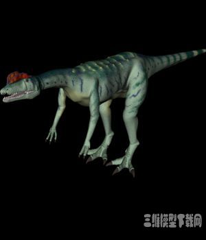 恐龙3D模型：双脊龙（DILOPHOSAURUS ） - C4D之家 - 20121009120322409.jpg
