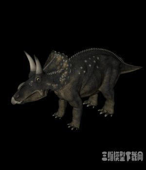 恐龙3D模型：双角龙(Diceratops) - C4D之家 - 20121008115923464.jpg